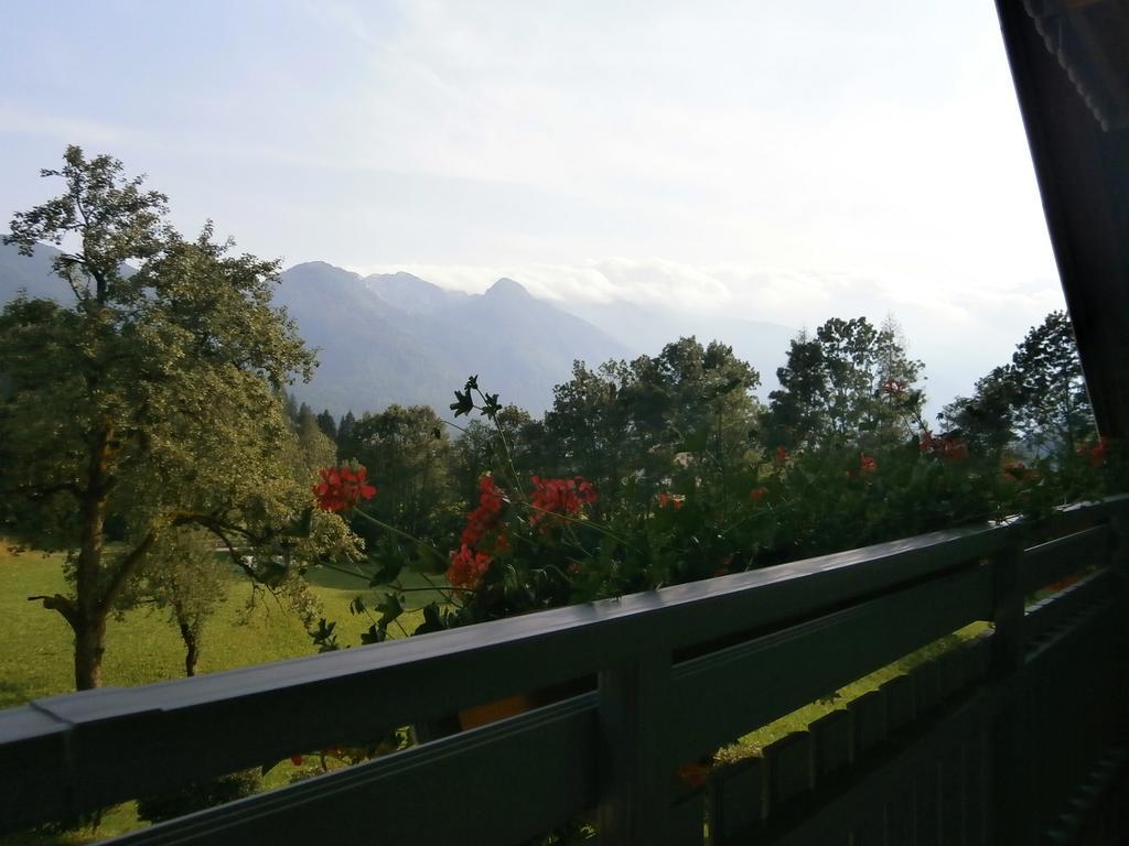 Apartment Zvan Bohinj Habitación foto